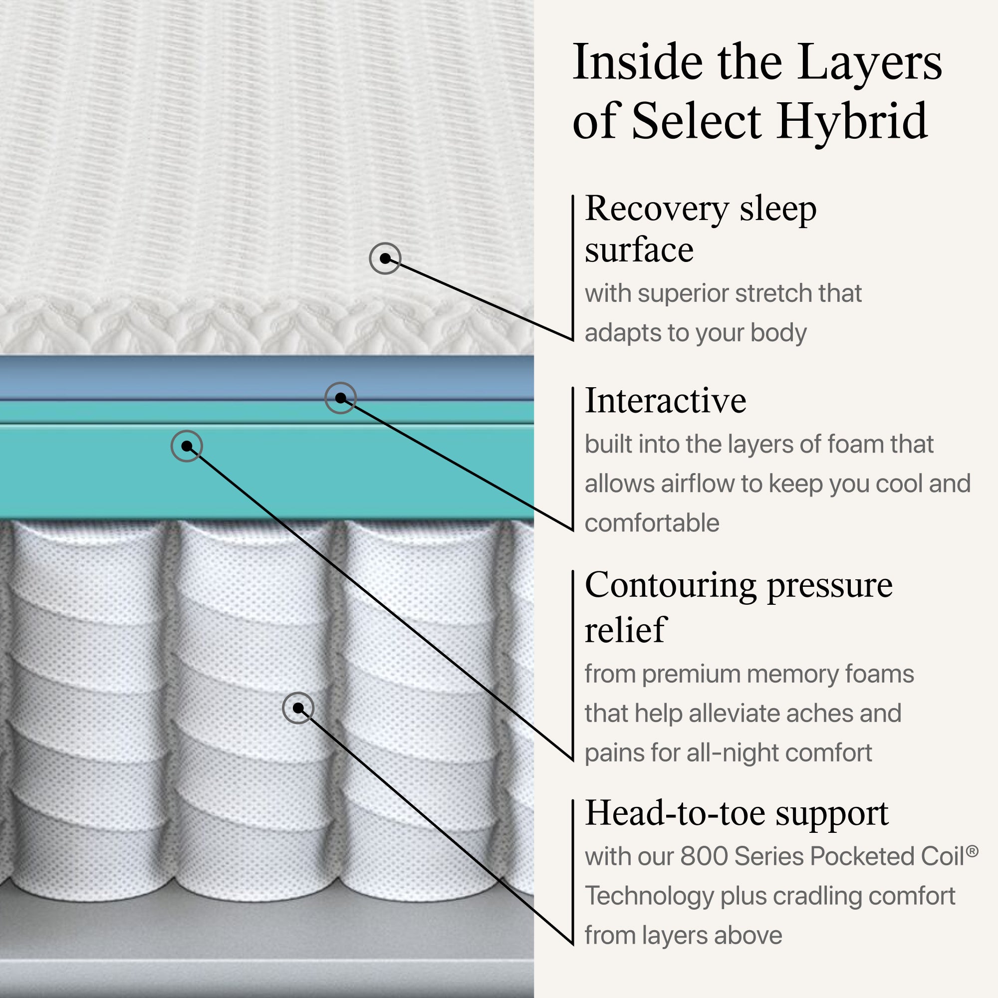 Diagram showing the materials used in the Beautyrest Select hybrid mattress ||feel: medium