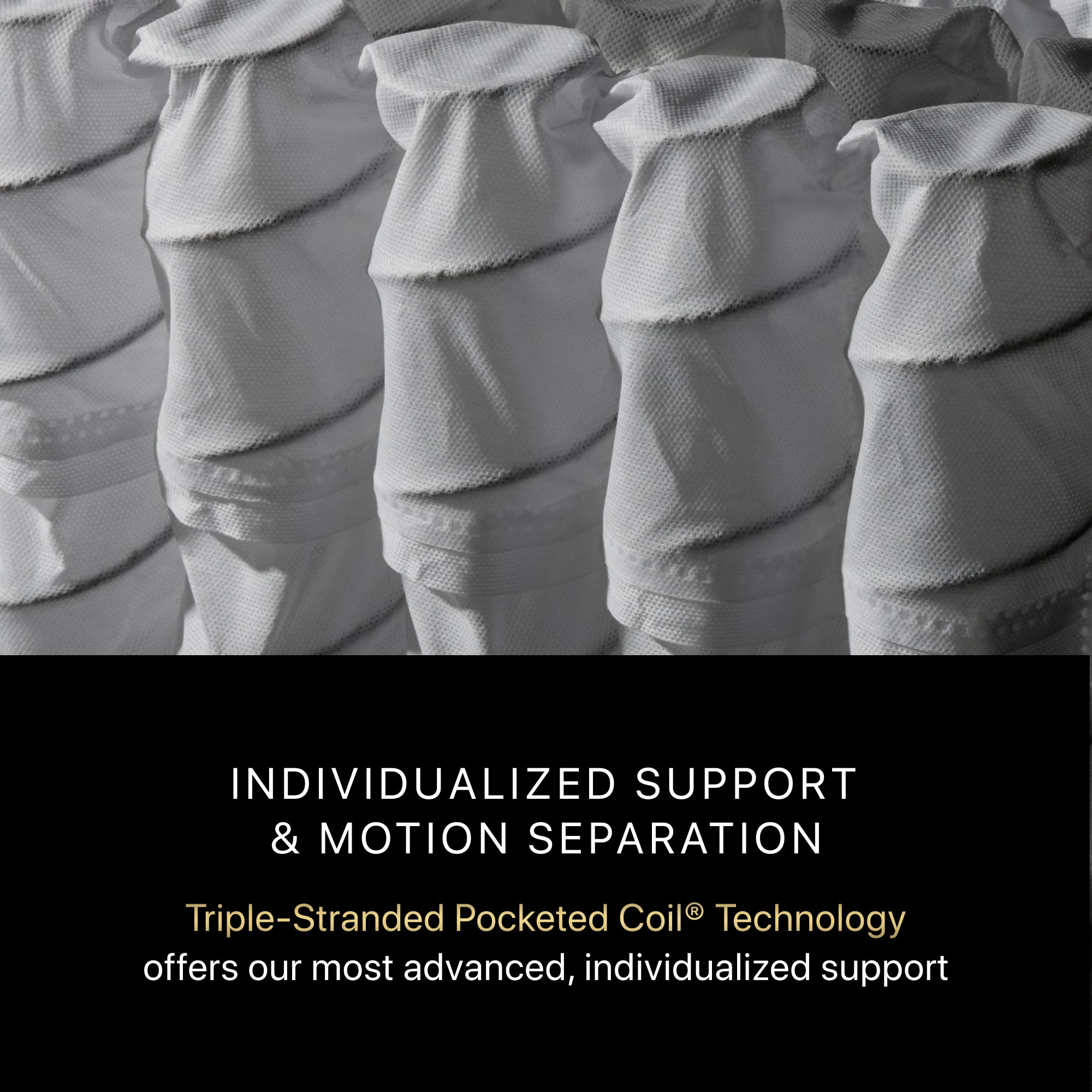 Image of individulized support & motion separation || series: Series Four