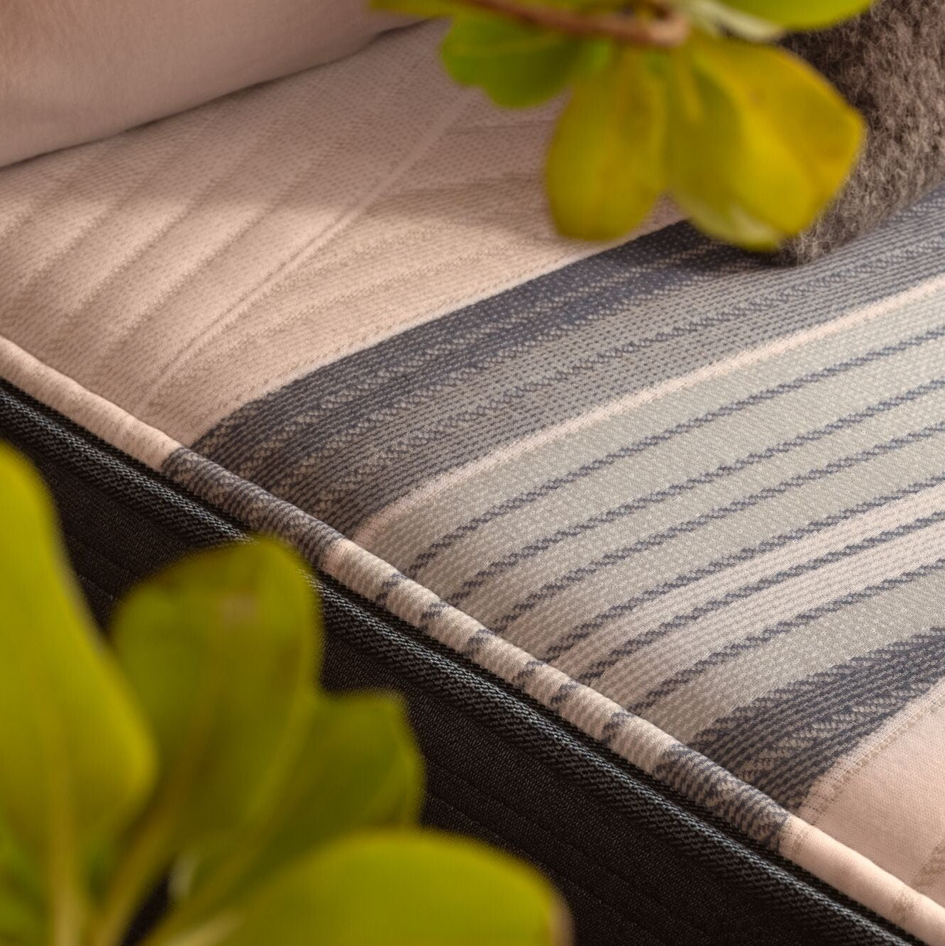 Beautyrest Harmony Mattress with leaves surrounding it