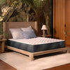 The Beautyrest Harmony mattress in a bedroom on a wooden bed || series: Premier Beachfront Bay || feel: firm