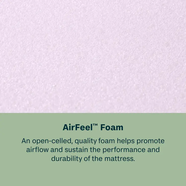 BeautySleep® by Beautyrest® Dream Weaver™