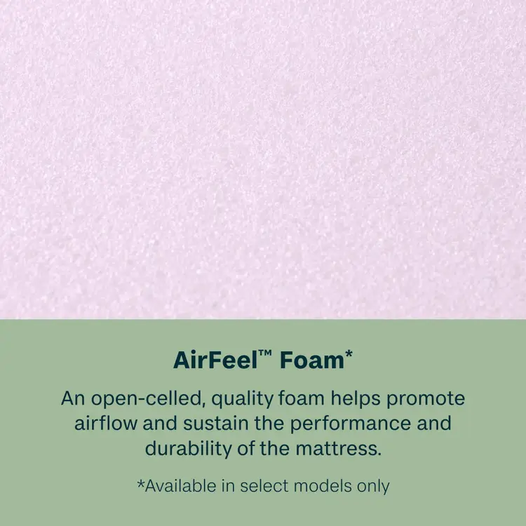 BeautySleep® by Beautyrest® Dream Weaver™