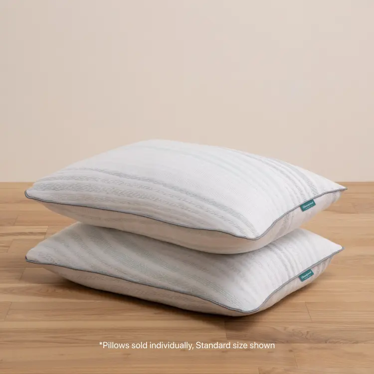 Beautyrest Harmony Lux Pillow