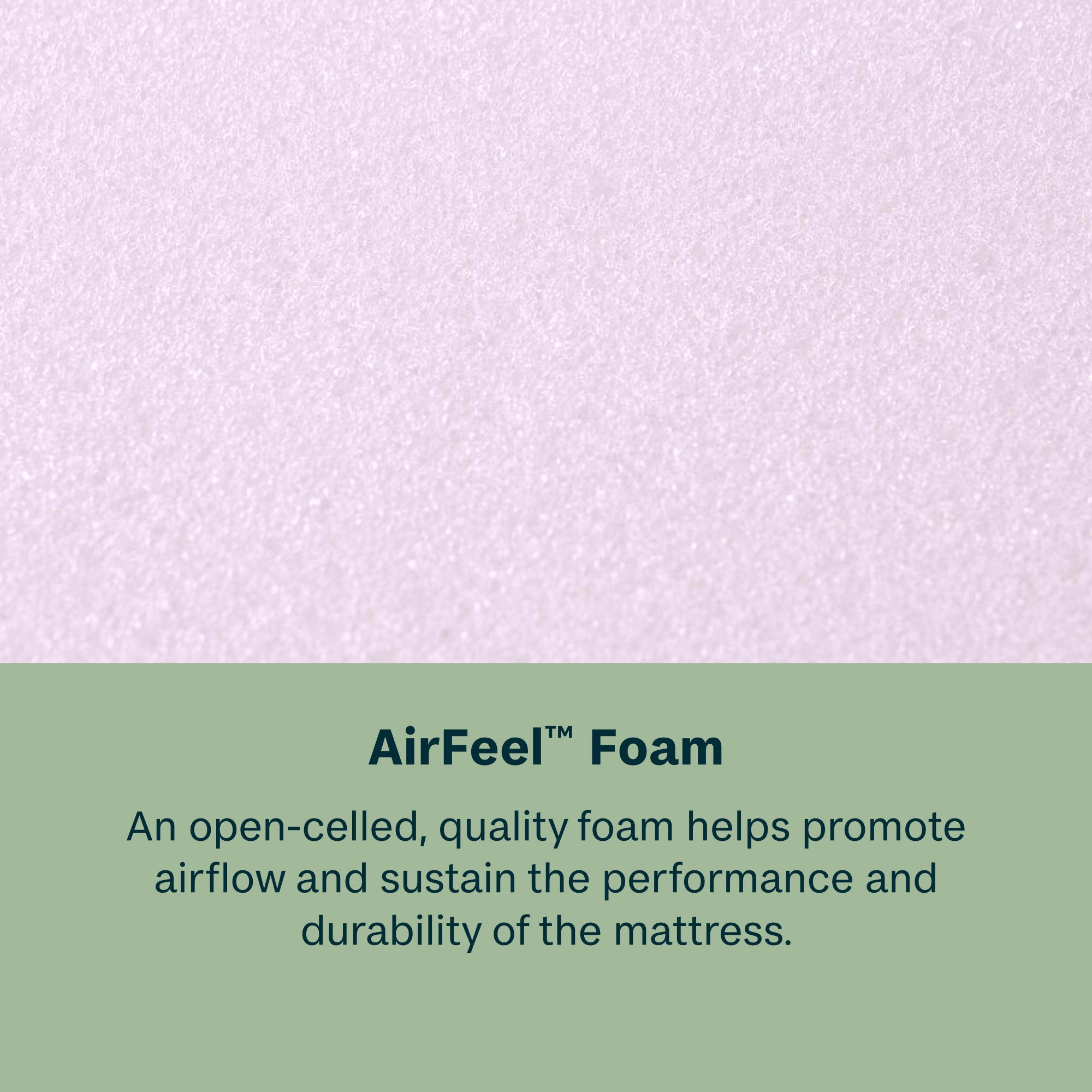 BeautySleep® by Beautyrest® Dream Weaver™