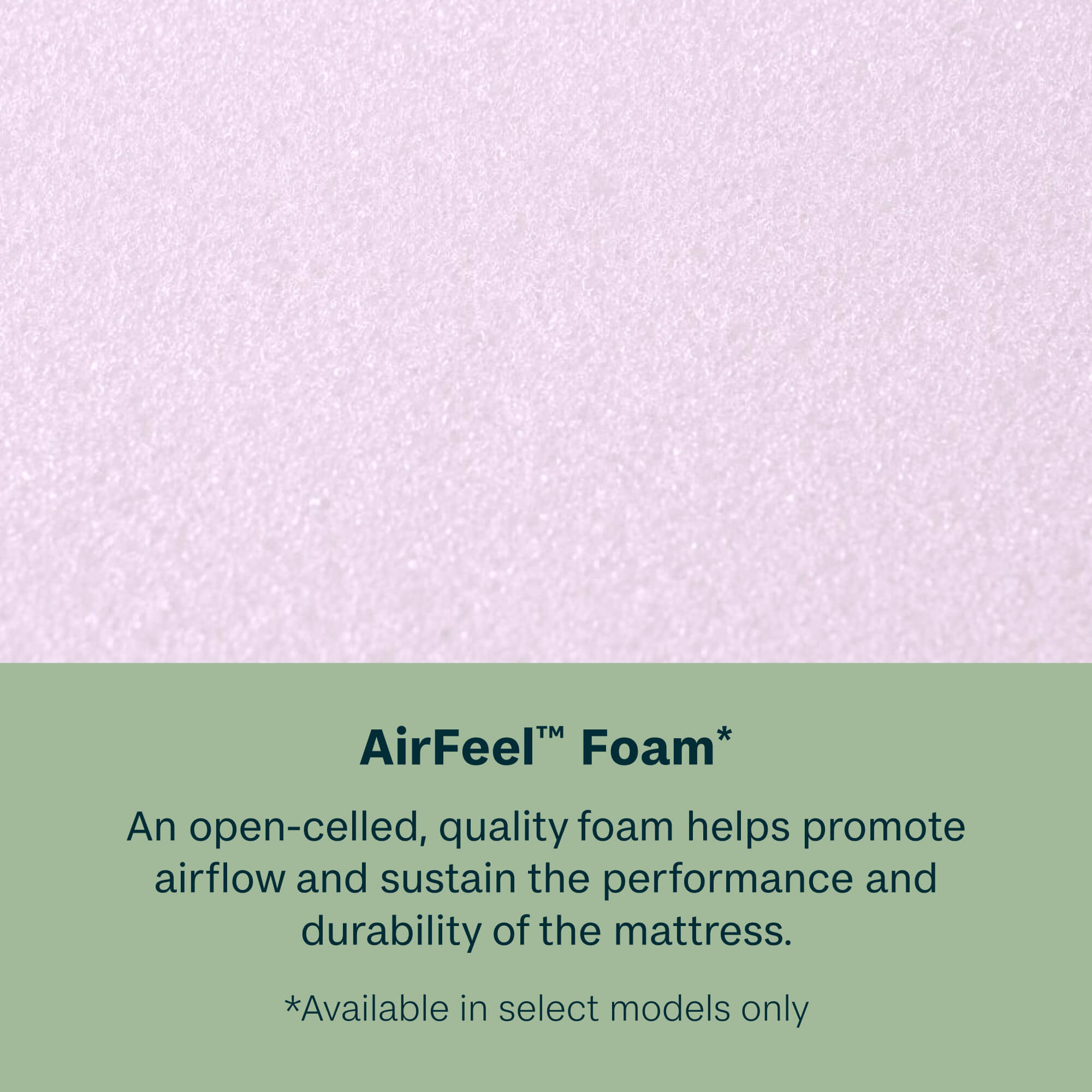 BeautySleep® by Beautyrest® Dream Weaver™