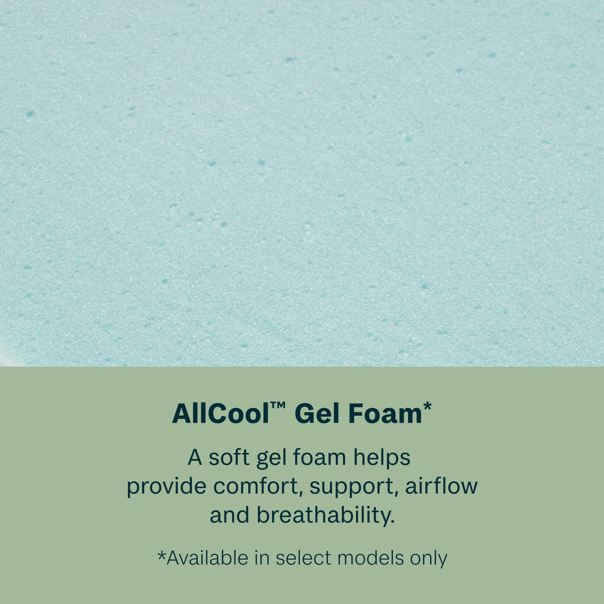 BeautySleep® by Beautyrest® Dream Weaver™