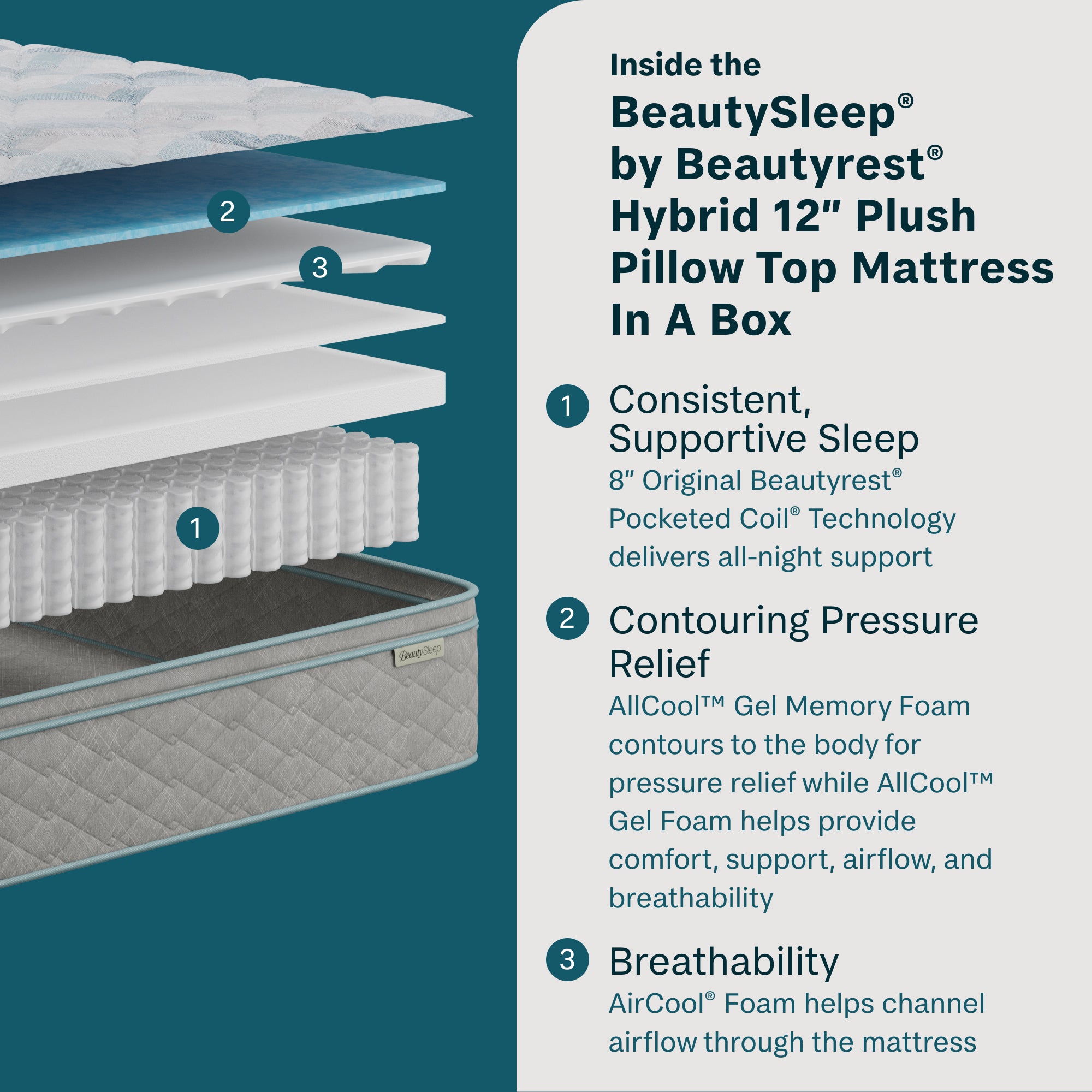 BeautySleep® by Beautyrest® Soothing Nights™ Mattress In A Box